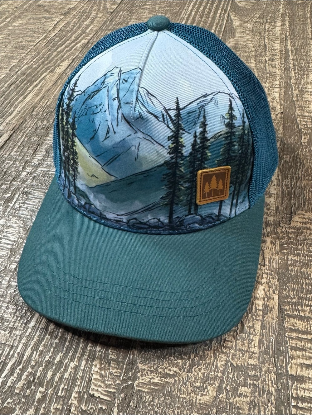 Teal Mountain Scene Trucker Hat